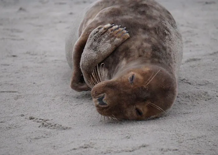 Apartamento Ludwig *